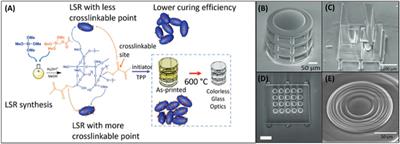 Novel and rapid analytical platform development enabled by advances in 3D printing